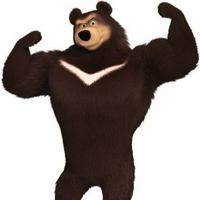 Muscular Bear (Black Bear)