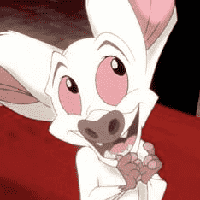 Bartok