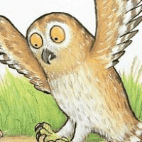 Owl