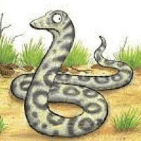 Snake