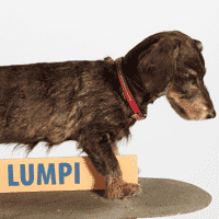 Lumpi