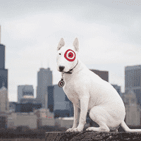 The Target Dog “Bullseye”