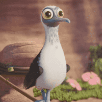 Booby