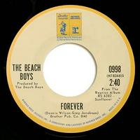 The Beach Boys - Forever