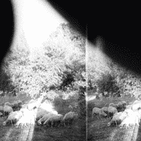 Godspeed You! Black Emperor - Asunder, Sweet and Other Distress