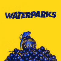 Waterparks - Stupid For You