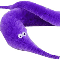 Lizzie The Worm