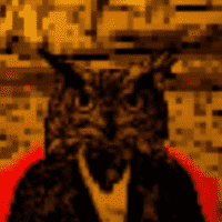 Franz Brown “the owl”