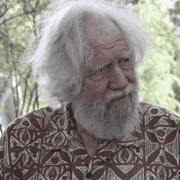 Alexander Shulgin