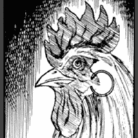 Chicken Lucy