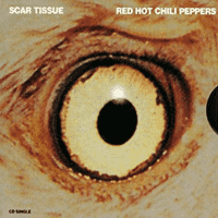 Red Hot Chili Peppers - Scar Tissue