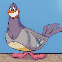 Squit
