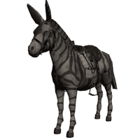 Zebra Donkey