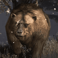 Brumas the Bear