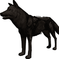 Undead Wolf