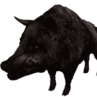 Undead Boar