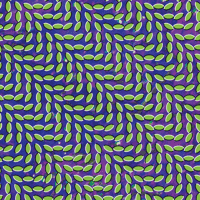 Animal Collective - Also Frightened