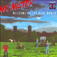 Mr. Mister - Broken Wings