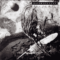 David Sylvian - The Boy With the Gun