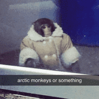 arctic monkeys or something