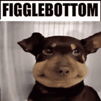 Figglebottom Male Personality Type, MBTI - Which Personality?