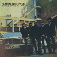 The Flamin' Groovies - I Saw Her