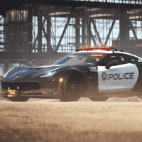 The Fortune Valley Police Department (FVPD)