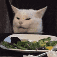 Confused Cat at Dinner