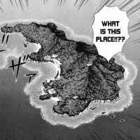 The Island