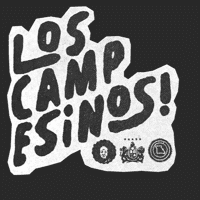 Los Campesinos!