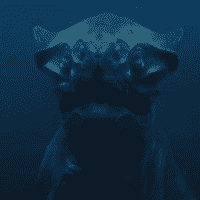 The Creature