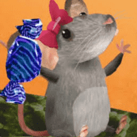 Rat