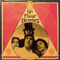 13th Floor Elevators