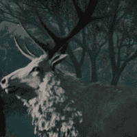 The White Elk