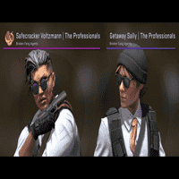 Safecracker Voltzmann / Getaway Sally | The Professionals