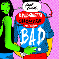 David Guetta and Showtek feat Vassy - Bad