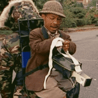 Travel Stenographer