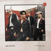 The Vamps - Missing You