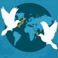 World Science Day for Peace and Development