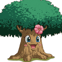 Female Maku Tree