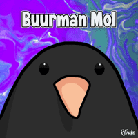 Buurman Mol