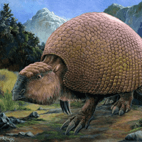 Glyptodon