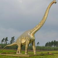 Brontosaurus