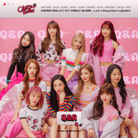 Cherry Bullet - Q&A