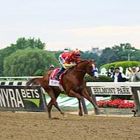 Justify