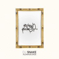 DJ Snake - You Know You Like It