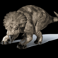 Protoceratops