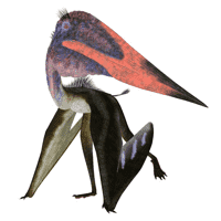 Pterosaur