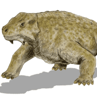 Pareiasaur