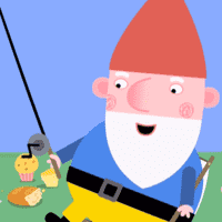 Mr. Gnome